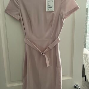 Theory Blush Pink Mini Dress